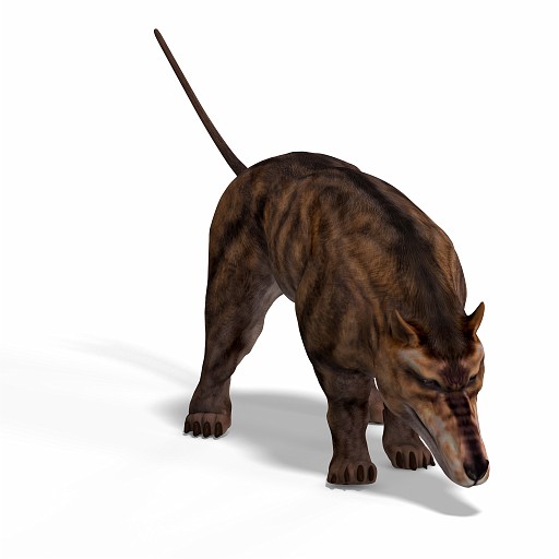 Andrewsarchus 05 A_0001.jpg - Dangerous dinosaur Andrewsarchus With Clipping Path over white